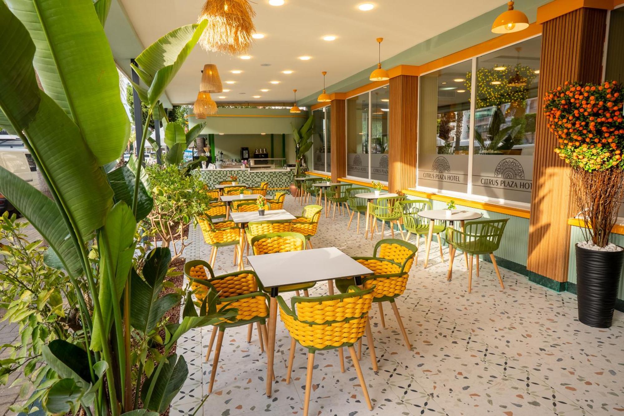 Citrus Plaza 4*